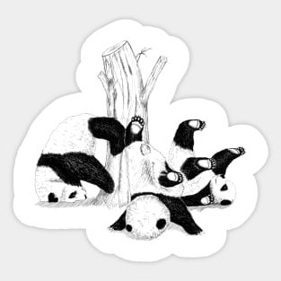 falling pandas Sticker